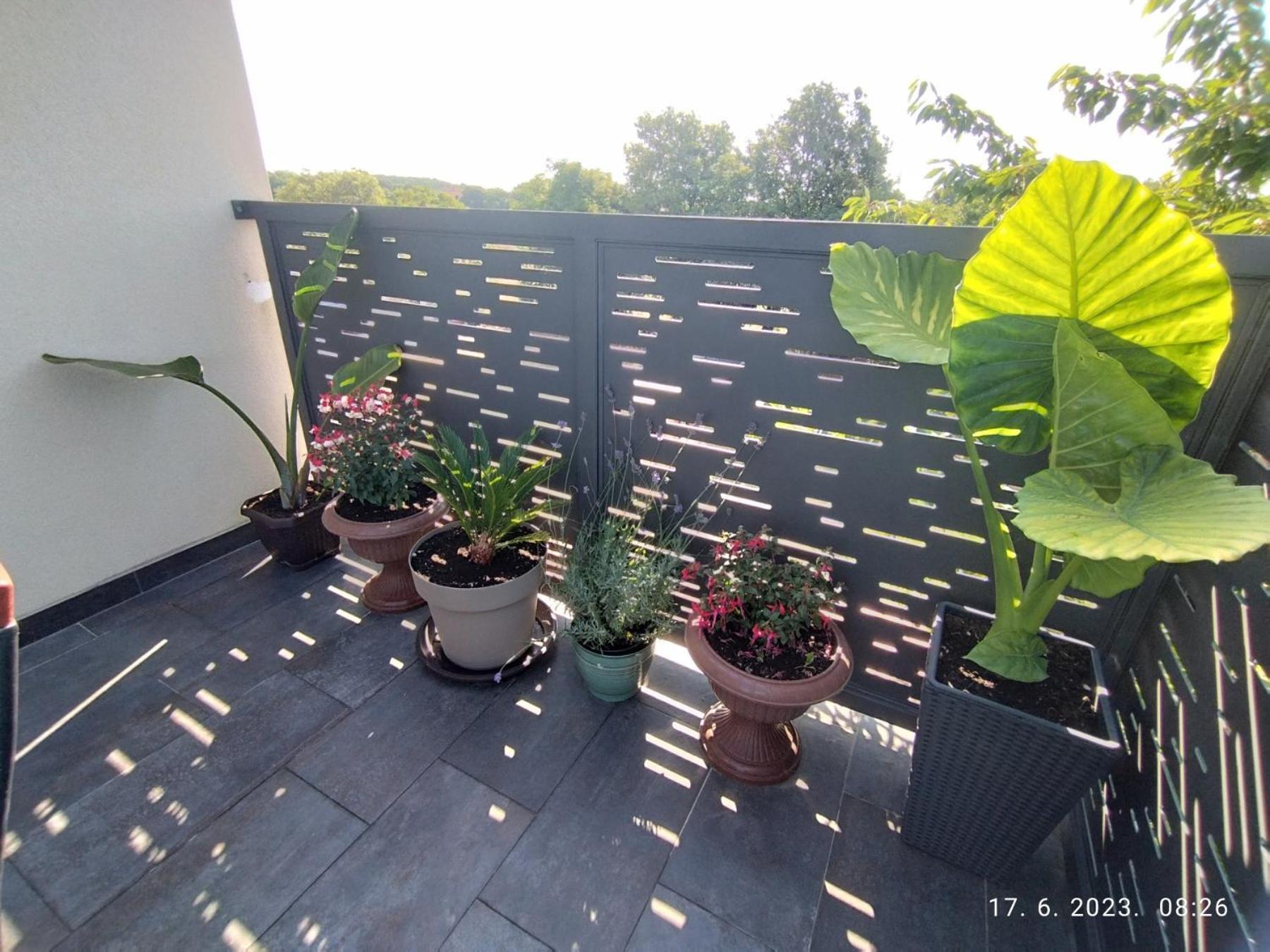 Apartment Zelena Oaza Sisan 75 M2 - 2 Bedrooms Eksteriør bilde